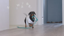 Load and play video in Gallery viewer, Pico Potty Wall for Small to Medium Sized Dogs

